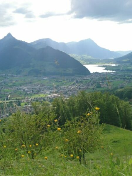 Wissenswerte Links