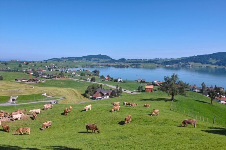 Zum bäuerlichen Komitee