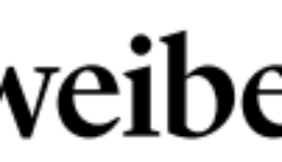 BlunschyWeibeltFuerEID
