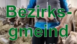 Bessere Lösung für den Bezirks-Landkauf