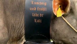 Viehausstellung Höfe Schindellegi