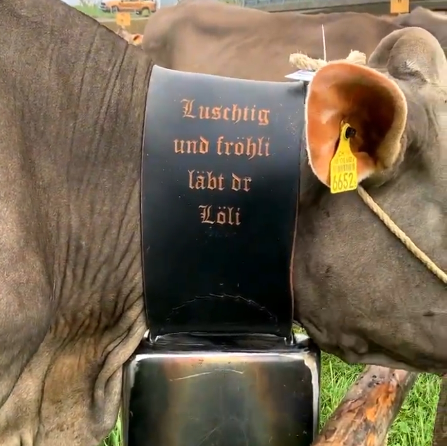 Viehausstellung Höfe Schindellegi